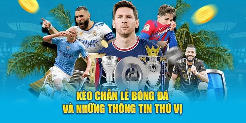 Giải thích tỷ lệ E/O dễ hiểu nhất cho người mới