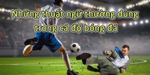 Thuật Ngữ Cá Độ Bóng Đá - Cùng S666 Giải Mã Ý Nghĩa Chi Tiết