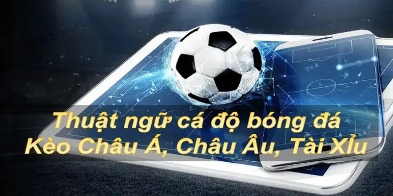 Thuật ngữ cá độ bóng đá mô tả các kèo cá cược hấp dẫn